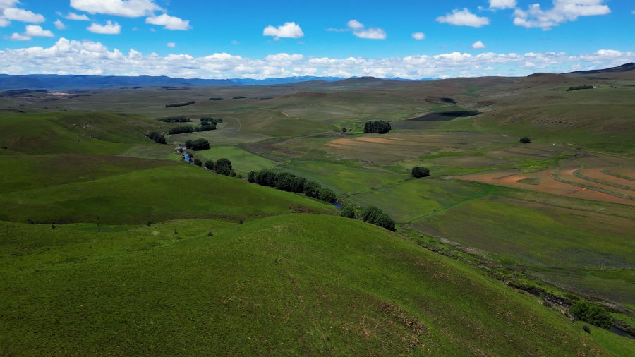 0 Bedroom Property for Sale in Barkly East Rural Eastern Cape